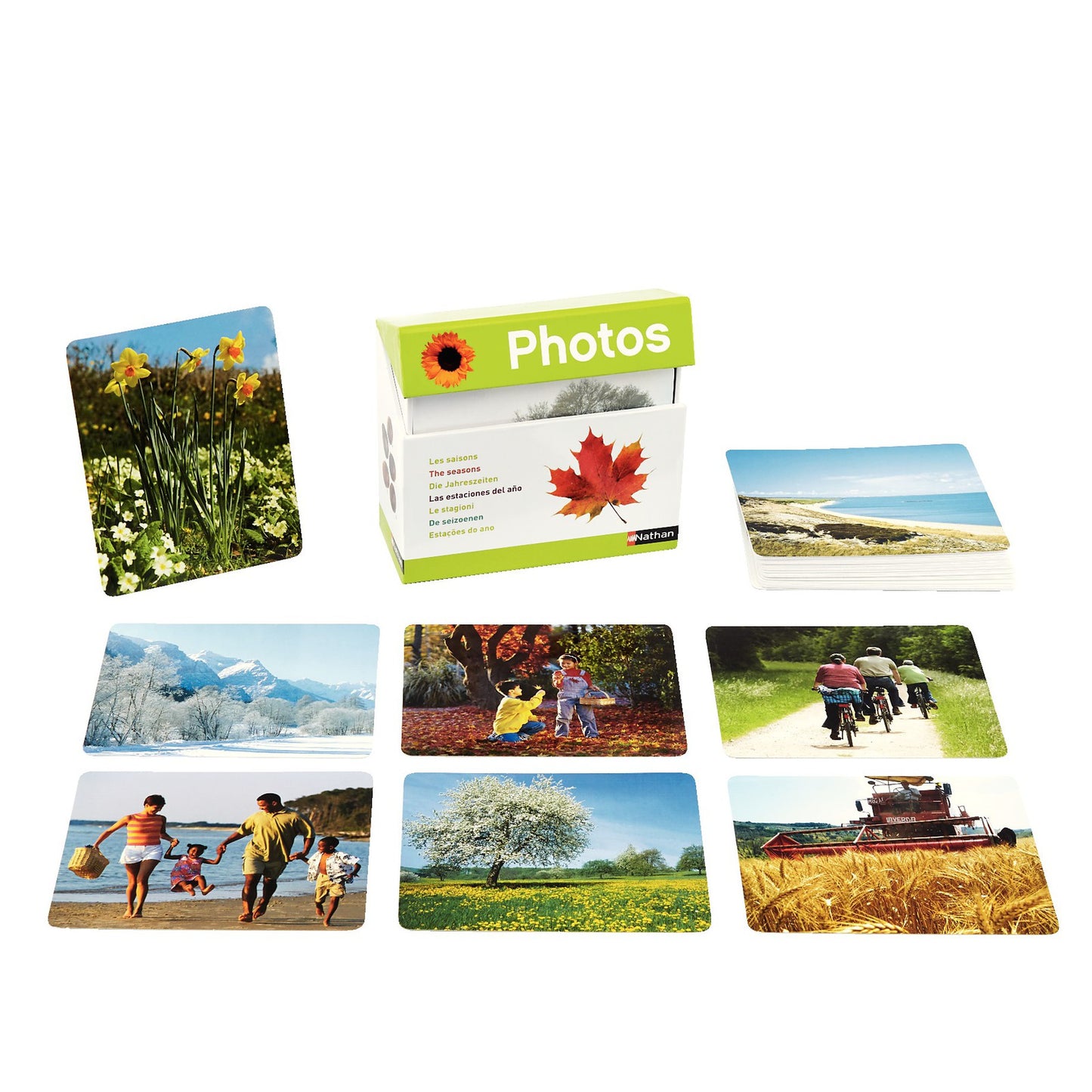 Foto kartiņas "Četras sezonas"