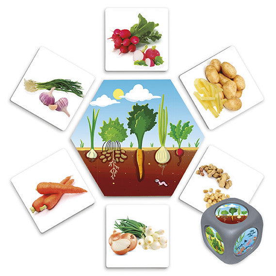 No kurienes nāk ēdiens?